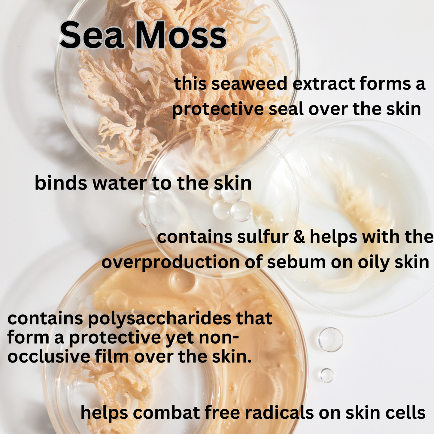 RESTORE Sea Moss Quench Body Bar